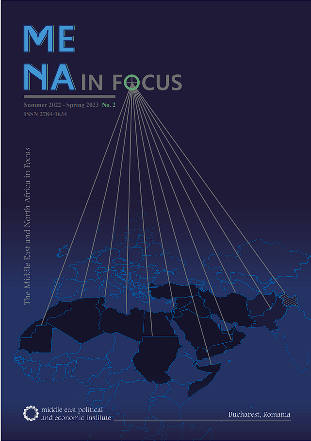 MENA in Focus no 2